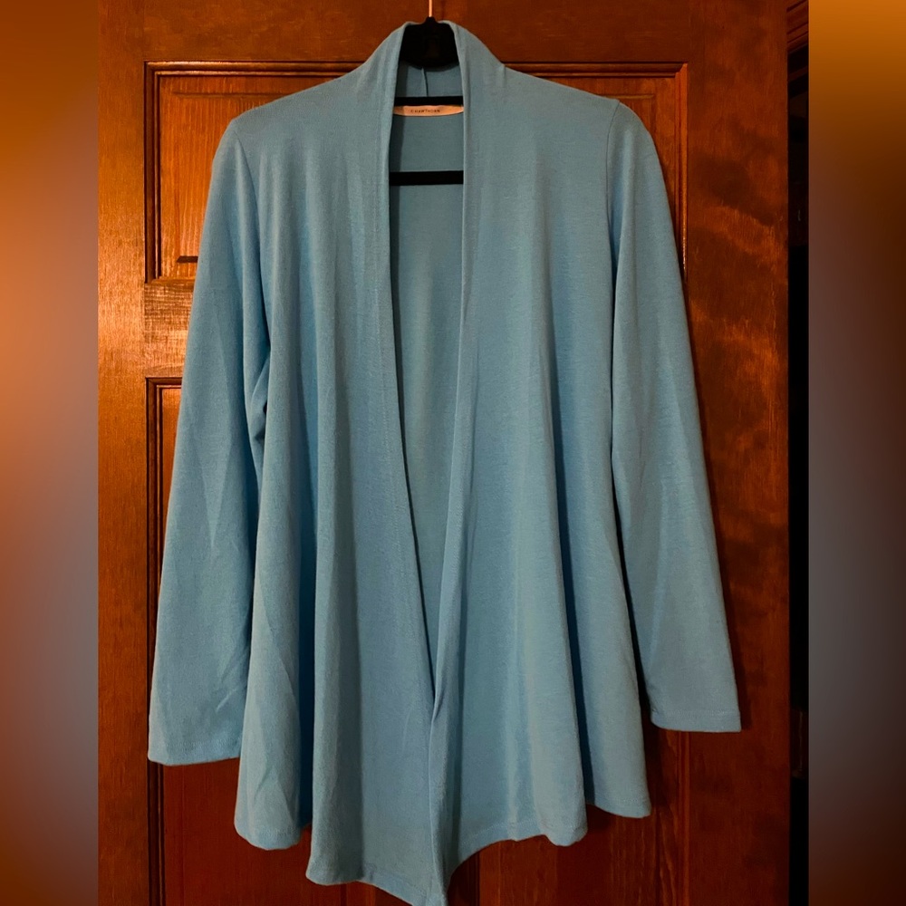 41 Hawthorn Robin’s Egg Blue Cardigan